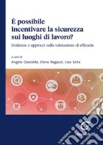 È possibile incentivare la sicurezza sui luoghi di lavoro? Evidenze e approcci sulla valutazione di efficacia libro