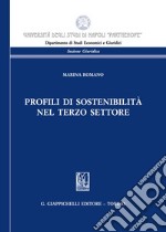 Profili di sostenibilità nel terzo settore libro