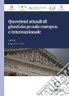 Questioni attuali di giustizia penale europea e internazionale libro