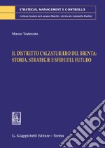 Il distretto calzaturiero del Brenta: storia, strategie e sfide del futuro libro