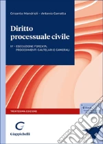 Diritto processuale civile. Vol. 4: L'esecuzione forzata, i procedimenti sommari, cautelari e camerali libro