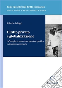 Diritto privato e globalizzazione. Un'indagine tematica tra regolazione giuridica e dinamiche economiche libro