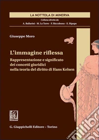 L'immagine riflessa. Rappresentazione e significato dei concetti giuridici nella teoria del diritto di Hans Kelsen libro