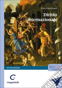 Diritto internazionale libro
