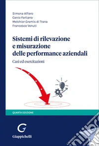 Sistemi di rilevazione e misurazione delle performance aziendali libro