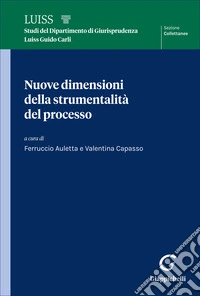 Nuove dimensioni della strumentalità del processo libro
