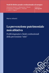 La prevenzione patrimoniale non ablativa. Profili dogmatici e limiti costituzionali della prevenzione «mite»