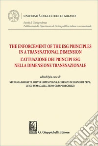 The enforcement of the ESG principles in a transnational dimension-L'attuazione dei principi ESG nella dimensione transnazionale libro
