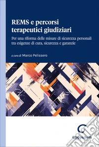 REMS e percorsi terapeutici giudiziari. Per una riforma delle misure di sicurezza personali tra esigenze di cura, sicurezza e garanzie libro