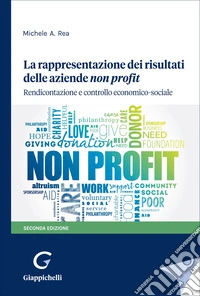 La rappresentazione dei risultati delle aziende non profit. Rendicontazione e controllo economico-sociale libro