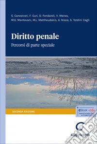 Diritto penale. Percorsi di parte speciale libro