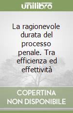 La ragionevole durata del processo penale. Tra efficienza ed effettività libro