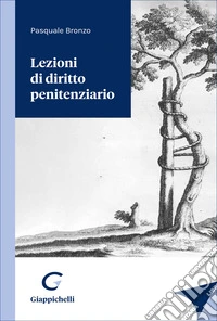 Lezioni di diritto penitenziario libro