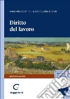 Diritto del lavoro libro