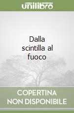 Dalla scintilla al fuoco libro