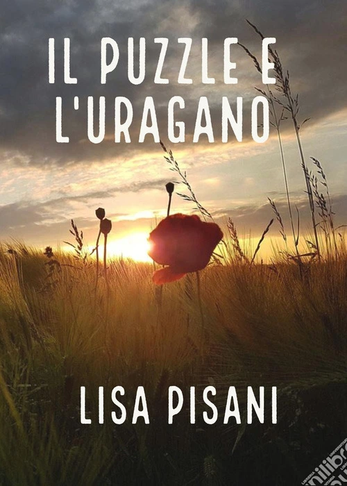 Il puzzle e l'uragano