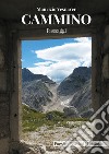 Cammino. Passaggi libro