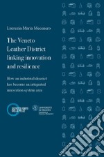 The Veneto leather district linking innovation and resilience. How an industrial district has become an integrated innovation system area