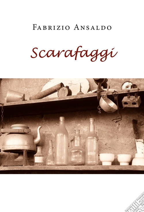 Scarafaggi