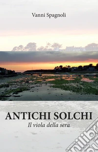 Antichi solchi