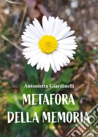 Metafora della memoria