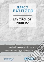 Lavoro di merito libro