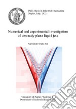 Numerical and experimental investigation of unsteady plane liquid jets libro