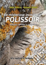 Le misteriose incisioni a Polissoir: semplici affilatoi o scrittura? Arte rupestre in Sardegna