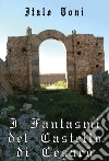 I fantasmi del castello di Cesarò libro di Toni Italo