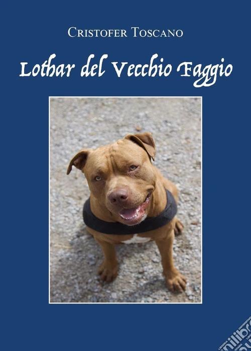Lothar del Vecchio Faggio