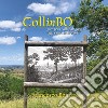 CollinBO. Giro per i colli bolognesi, oggi e nei secoli scorsi libro