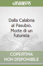 Dalla Calabria al Pasubio. Morte di un futurista libro