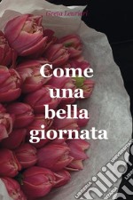 Come una bella giornata