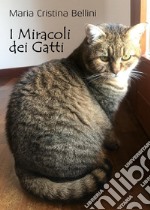 I miracoli dei gatti