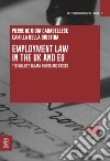 Employment Law in the UK and EU. Technology, Human Rights and Crises libro di De Gioia Carabellese Pierre Della Giustina Camilla