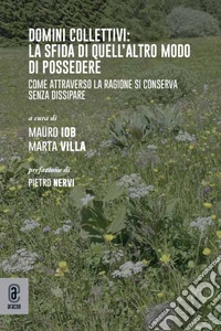 Domini collettivi: la sfida di quell'altro modo di possedere. Come attraverso la ragione si conserva senza dissipare libro