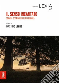 Il senso incantato. Soavità e stridori della risonanza libro