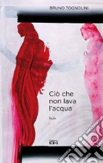 Ciò che non lava l'acqua libro