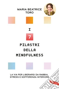I 7 pilastri della mindfulness. La via per liberarsi da rabbia, stress e sofferenza interiore libro