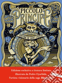 Il Piccolo Principe libro