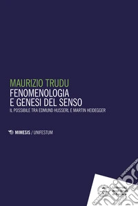 Fenomenologie e genesi del senso. Il possibile tra Edmund Husserl e Martin Heidegger libro