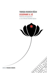 Osservare il sé libro