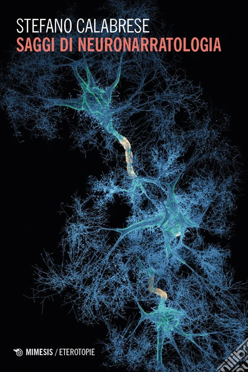 Saggi di neuronarratologia