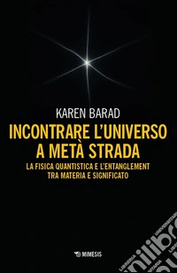 Incontrare l'universo a metà strada. La fisica quantistica e l'entanglement di materia e significato libro