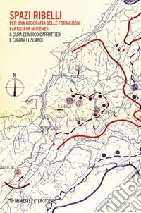 Spazi ribelli. Per una geografia delle formazioni partigiane modenesi libro