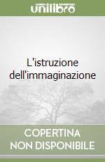 L'istruzione dell'immaginazione libro