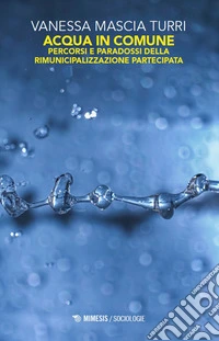 Acqua in comune. Percorsi e paradossi della rimunicipalizzazione partecipata libro