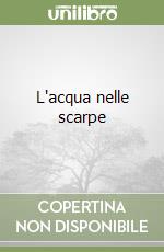 L'acqua nelle scarpe libro