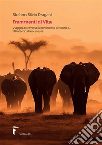 Frammenti di vita. Viaggio attraverso il continente africano e... all'interno di noi stessi libro