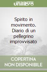 Spirito in movimento. Diario di un pellegrino improvvisato